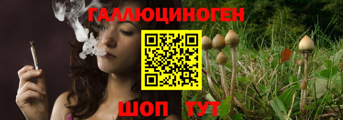 как найти   Вход с VPN  Галлюциногенные грибы прущие грибы  Благовещенск  Галлюциногенные грибы GOLDEN TEACHER 